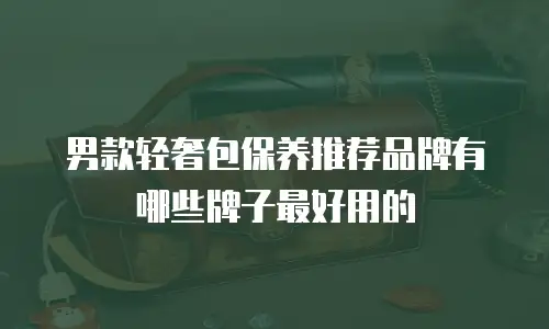 男款轻奢包保养推荐品牌有哪些牌子最好用的