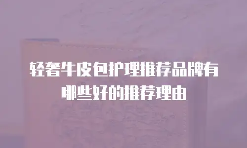 轻奢牛皮包护理推荐品牌有哪些好的推荐理由