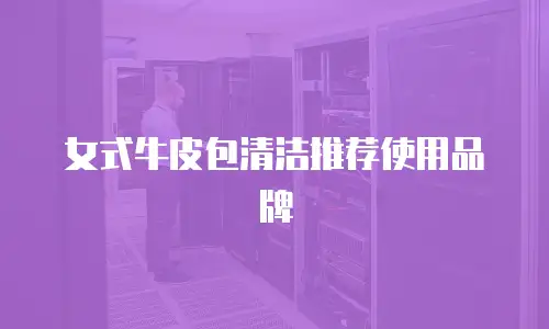 女式牛皮包清洁推荐使用品牌