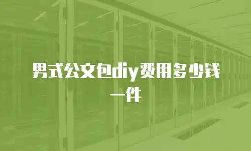 男式公文包diy费用多少钱一件