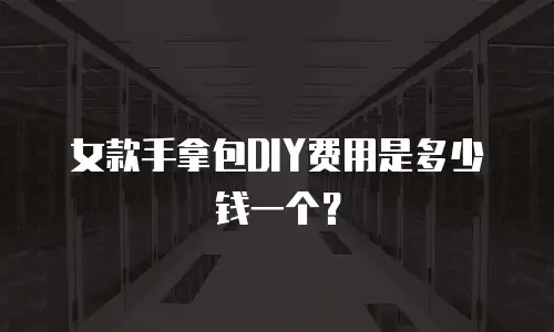 女款手拿包DIY费用是多少钱一个？