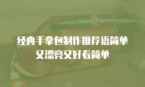 经典手拿包制作推荐语简单又漂亮又好看简单