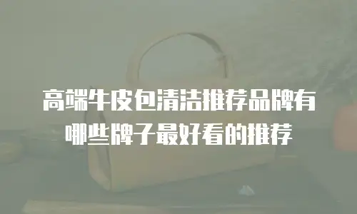 高端牛皮包清洁推荐品牌有哪些牌子最好看的推荐