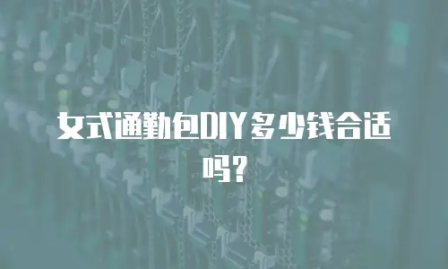 女式通勤包DIY多少钱合适吗？