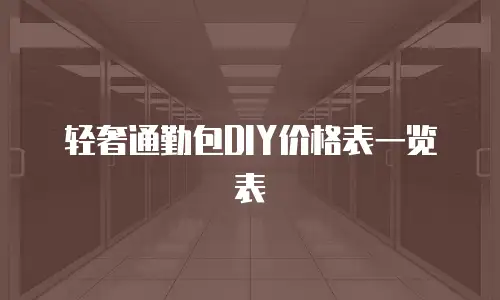 轻奢通勤包DIY价格表一览表