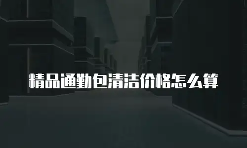 精品通勤包清洁价格怎么算