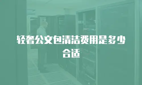 轻奢公文包清洁费用是多少合适