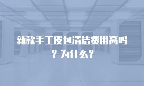 新款手工皮包清洁费用高吗？为什么？