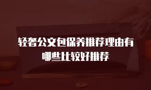轻奢公文包保养推荐理由有哪些比较好推荐