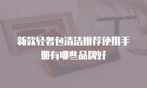 新款轻奢包清洁推荐使用手册有哪些品牌好