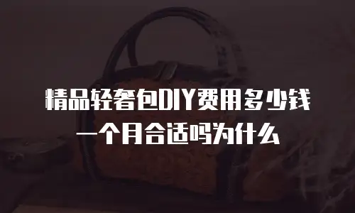 精品轻奢包DIY费用多少钱一个月合适吗为什么