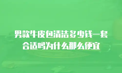 男款牛皮包清洁多少钱一套合适吗为什么那么便宜