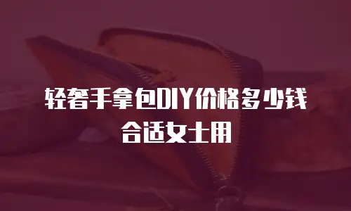 轻奢手拿包DIY价格多少钱合适女士用