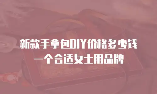 新款手拿包DIY价格多少钱一个合适女士用品牌