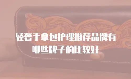 轻奢手拿包护理推荐品牌有哪些牌子的比较好