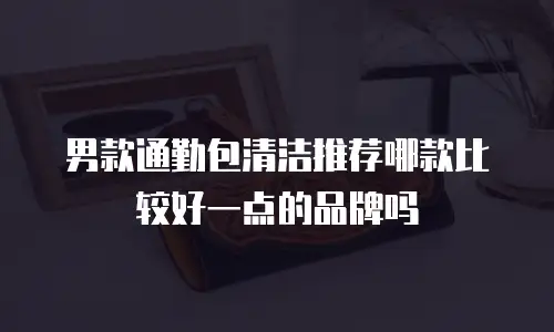 男款通勤包清洁推荐哪款比较好一点的品牌吗