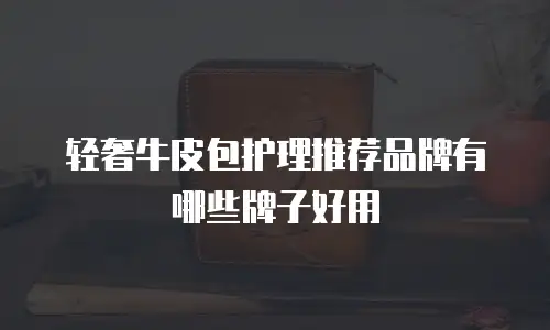 轻奢牛皮包护理推荐品牌有哪些牌子好用