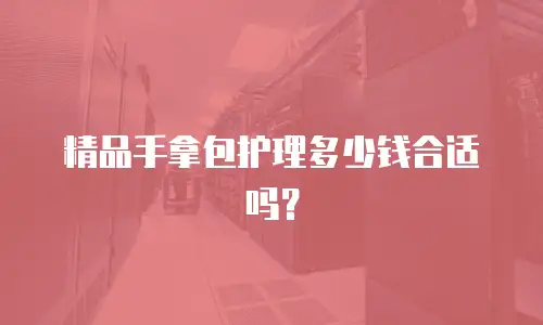 精品手拿包护理多少钱合适吗？