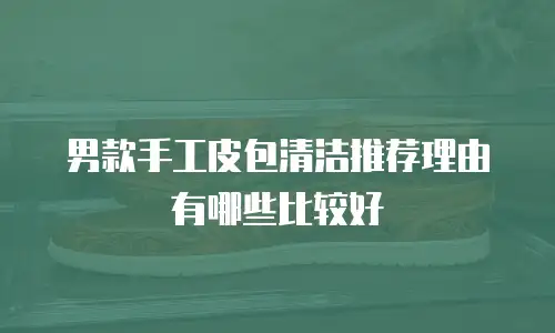 男款手工皮包清洁推荐理由有哪些比较好