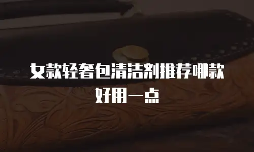 女款轻奢包清洁剂推荐哪款好用一点