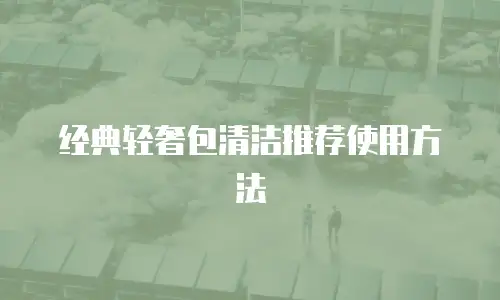 经典轻奢包清洁推荐使用方法