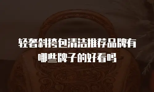 轻奢斜挎包清洁推荐品牌有哪些牌子的好看吗