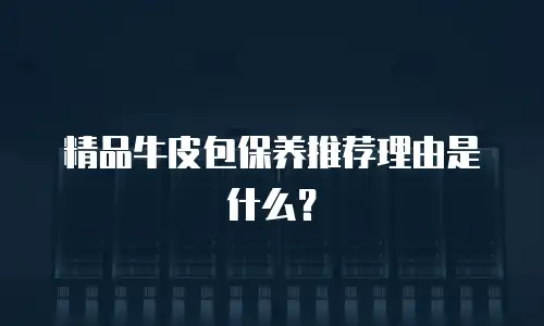 精品牛皮包保养推荐理由是什么？