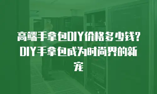 高端手拿包DIY价格多少钱？DIY手拿包成为时尚界的新宠