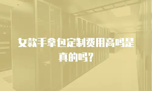 女款手拿包定制费用高吗是真的吗？
