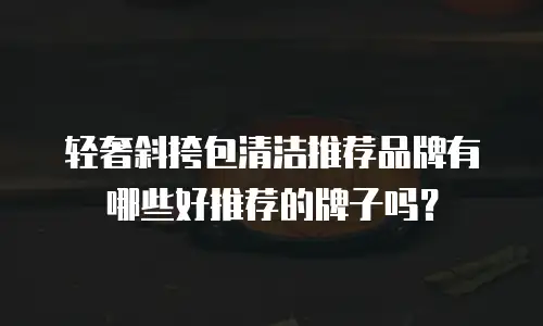 轻奢斜挎包清洁推荐品牌有哪些好推荐的牌子吗？