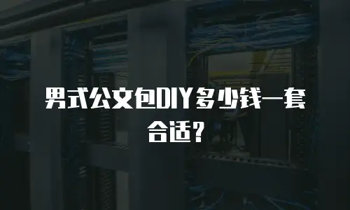 男式公文包DIY多少钱一套合适？