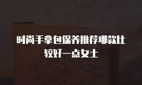 时尚手拿包保养推荐哪款比较好一点女士