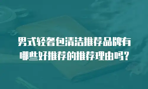 男式轻奢包清洁推荐品牌有哪些好推荐的推荐理由吗？