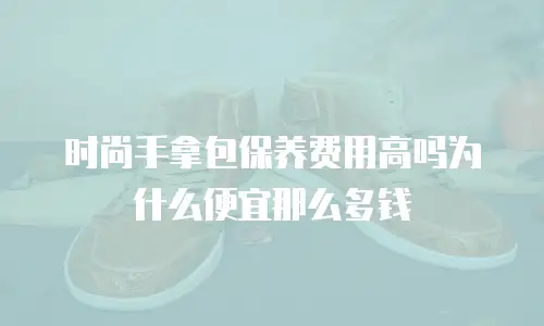 时尚手拿包保养费用高吗为什么便宜那么多钱