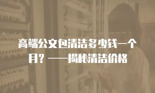 高端公文包清洁多少钱一个月？&mdash;&mdash;揭秘清洁价格