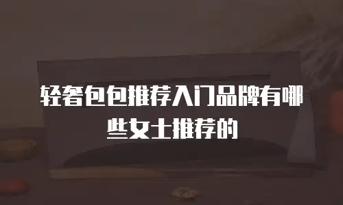 轻奢包包推荐入门品牌有哪些女士推荐的