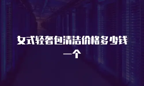 女式轻奢包清洁价格多少钱一个