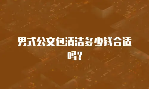 男式公文包清洁多少钱合适吗？