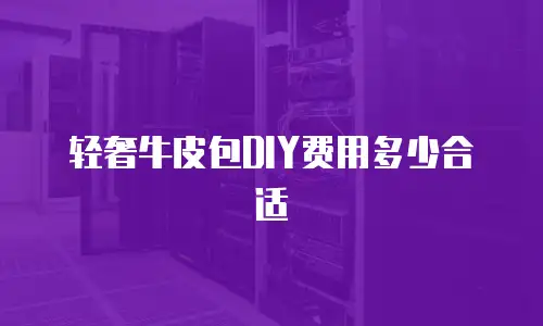 轻奢牛皮包DIY费用多少合适