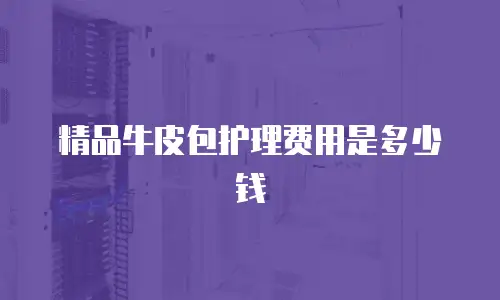 精品牛皮包护理费用是多少钱