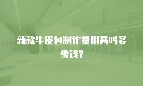 新款牛皮包制作费用高吗多少钱？