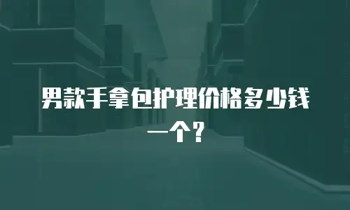 男款手拿包护理价格多少钱一个？
