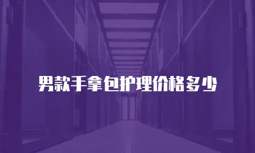 男款手拿包护理价格多少