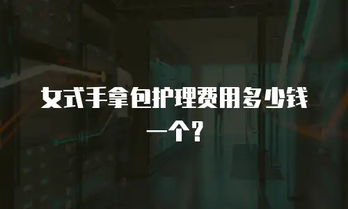 女式手拿包护理费用多少钱一个？