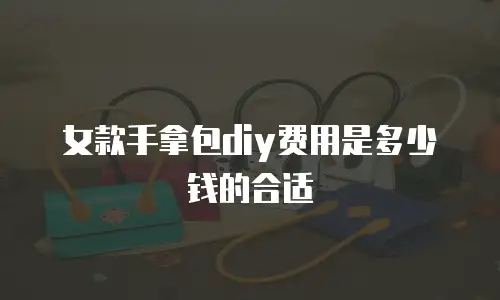女款手拿包diy费用是多少钱的合适