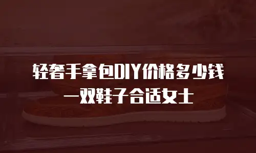 轻奢手拿包DIY价格多少钱一双鞋子合适女士
