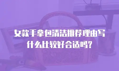 女款手拿包清洁推荐理由写什么比较好合适吗？