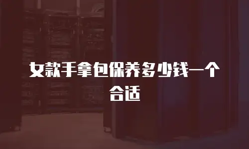 女款手拿包保养多少钱一个合适