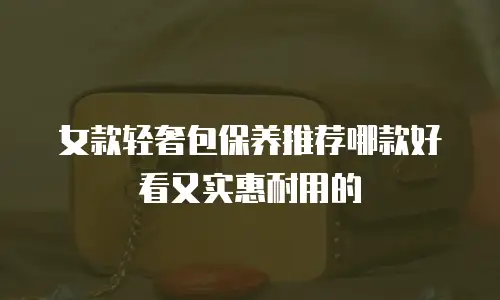女款轻奢包保养推荐哪款好看又实惠耐用的