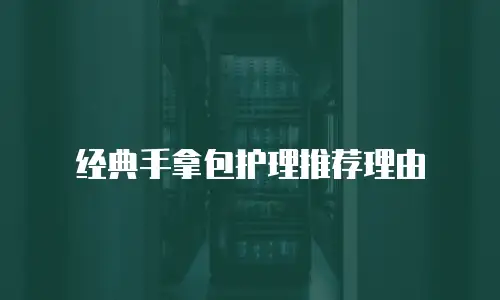 经典手拿包护理推荐理由